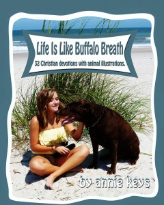 Buffalo Breath COVER